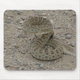 R9 Prairie Rattlesnake Coiled Mousepad