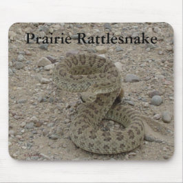 R9 Prairie Rattlesnake Coiled Mousepad