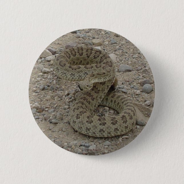 R9 Prärie-Klapperschlange Button (Vorderseite)
