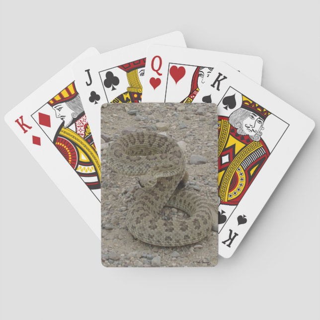R9-Prärie-Rattlesnake-Coiled Spielkarten (Rückseite)