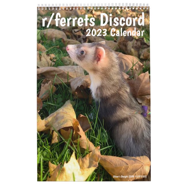 r/ferrets Kalender 2023 (Titelbild)