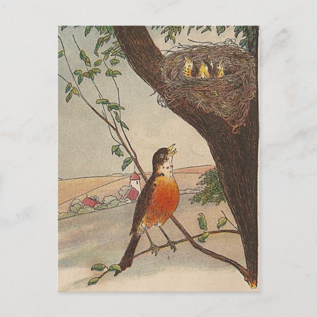 R ist für Robin Postkarte (Vorderseite)