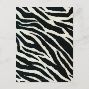 RAB Rockabilly Zebradruck Schwarz & Weiß Postkarte