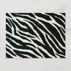 RAB Rockabilly Zebradruck Schwarz & Weiß Postkarte