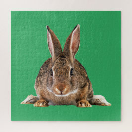 RABBBIT