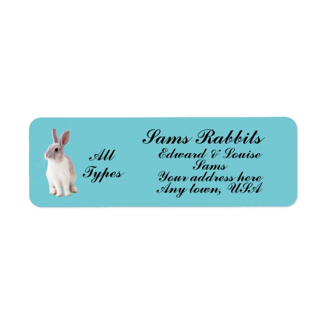 RABBBITS (Vorne)