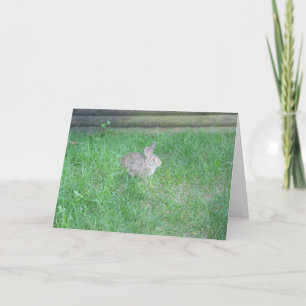 "Rabbit #1" Osterkarte Karte