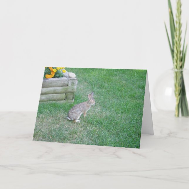 "Rabbit #2" Osterkarte Karte (Vorderseite)