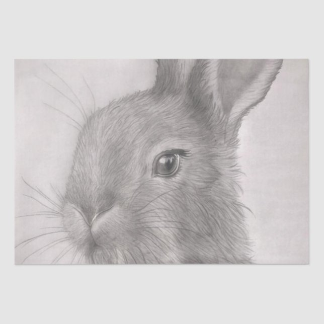 Rabbit Art Tissue Papers Seidenpapier (Vorderseite)