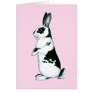 Rabbit:  Black and White