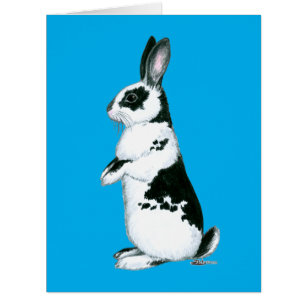 Rabbit: Black and White