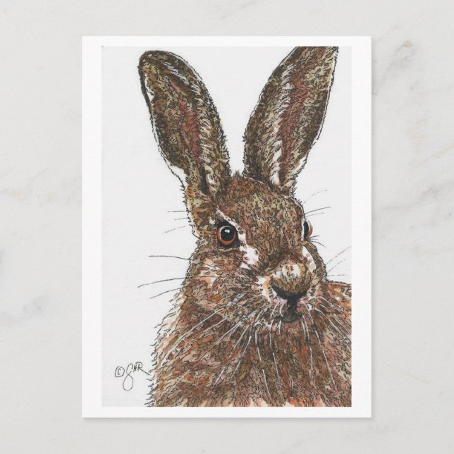 Rabbit Bunny Hare Postcard Postkarte (Vorderseite)