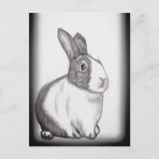 Rabbit Bunny White Fluffy Schwanz Long Oars Postca Postkarte (Vorderseite)
