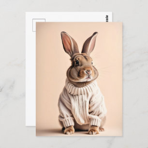Rabbit en pull, Carte postale de poste