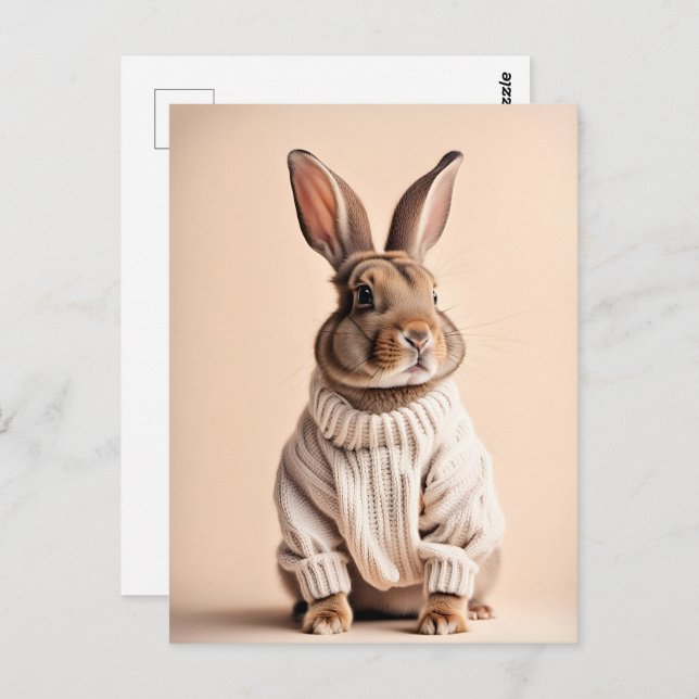 Rabbit en pull, Carte postale de poste (Devant / Derrière)