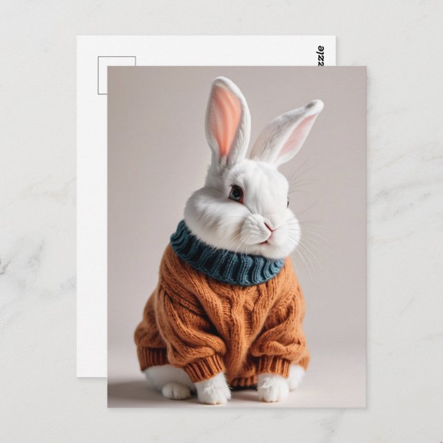 Rabbit en pull, Carte postale de poste (Devant / Derrière)