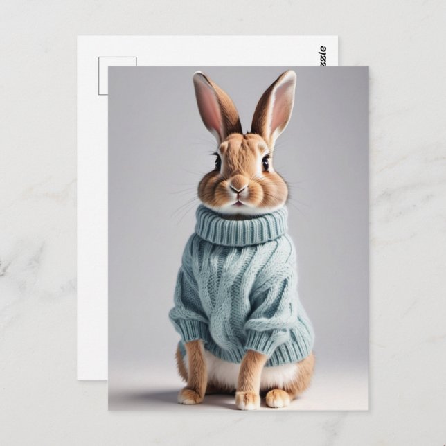 Rabbit en pull, Carte postale de poste (Devant / Derrière)