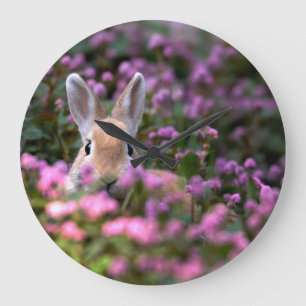 Rabbit farm große wanduhr