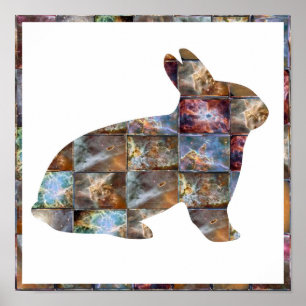 RABBIT: Grafikdesign Poster