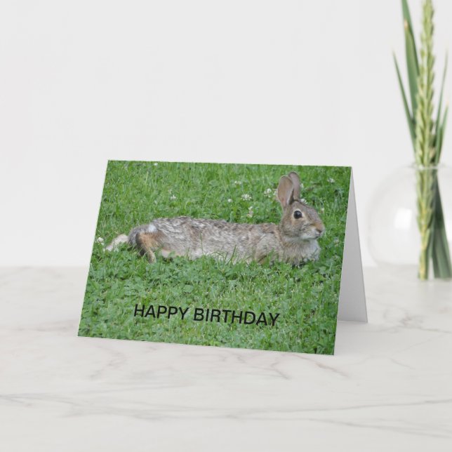 Rabbit Karte (Vorderseite)