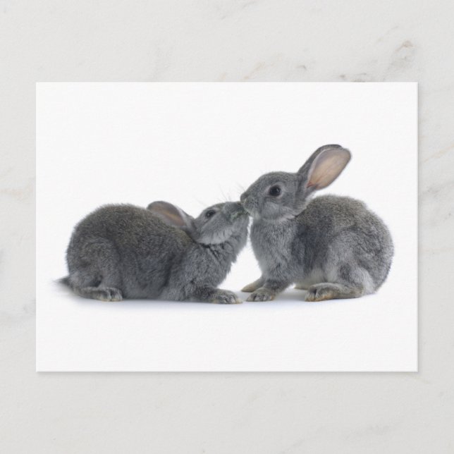 Rabbit Kiss Postkarte (Vorderseite)