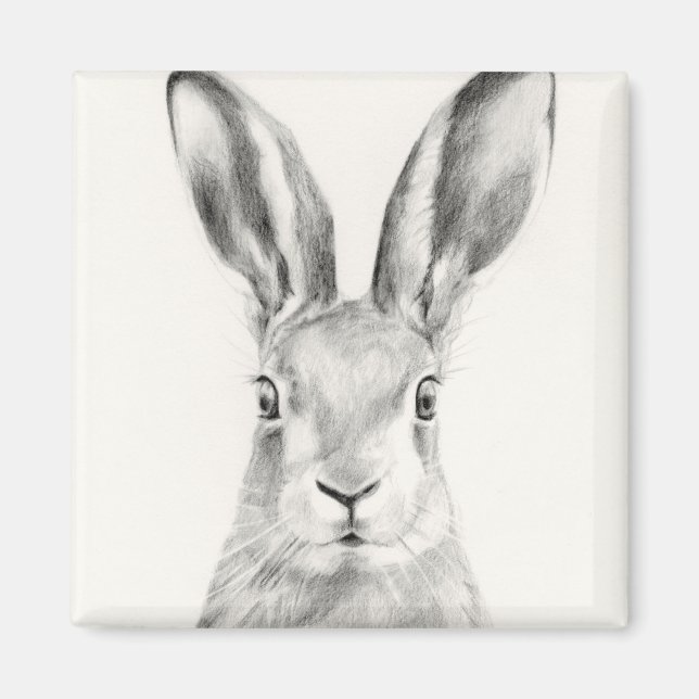 Rabbit Pencil Drawing Magnet (Vorne)