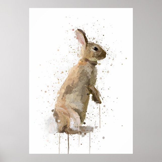 Rabbit Poster (Vorne)