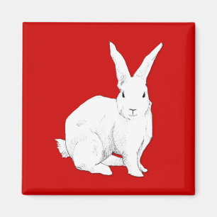Rabbit Red Magnet