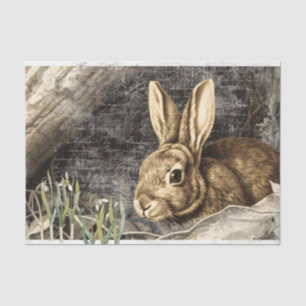 Rabbit Snowdrop Blume Frühjahr Französisch Drehkre Seidenpapier