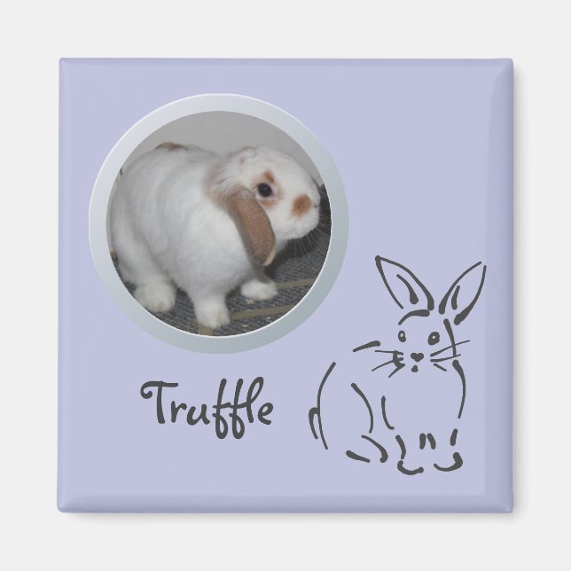 Rabbit-Speicher Hinzufügen eines Fotos Magnet (Vorne)