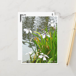 Rabbitear Iris Postkarte