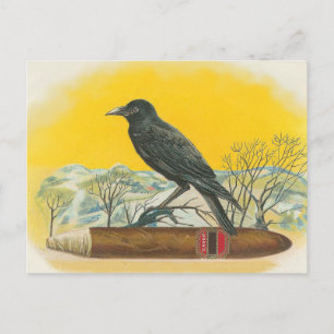Rabe Postkarte