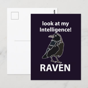 Rabe Sieh Dir Meine Intelligenz An Rabe Postkarte