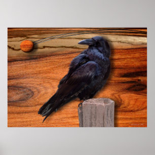 RABEN-EKLIPSE POSTER