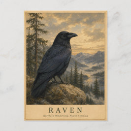 Raben Nördliche Wildnis VINTAGE Postkarte