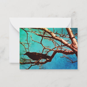 Rabenkrähe Schwarzer Vogel Silberbaum Foto Notizka Mitteilungskarte