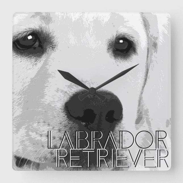 Rabrador Retriever Quadratische Wanduhr (Vorderseite)