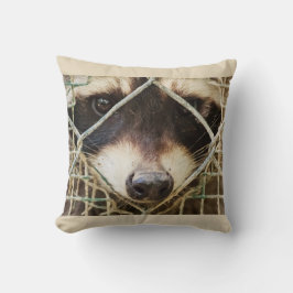 RACCON AUF PILLOW KISSEN