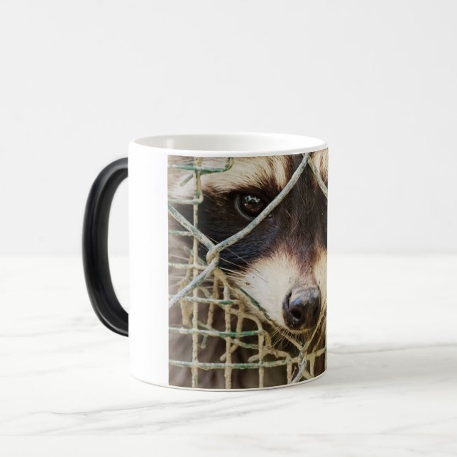 RACCON MORPHING-TASSE VERWANDLUNGSTASSE (Vorderseite Links)