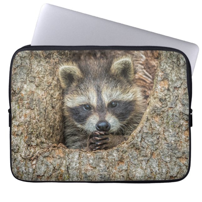 Raccon Nestled Inside a Tremollow Laptopschutzhülle (Vorderseite)