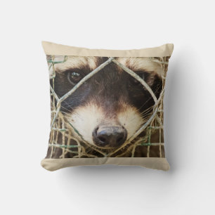 RACCON ON COUSSIN