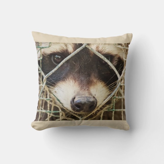 RACCON ON COUSSIN (Recto)