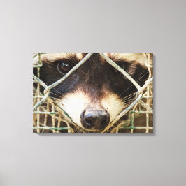        RACCONPRINTCANVAS LEINWANDDRUCK