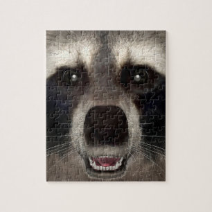 Raccoon