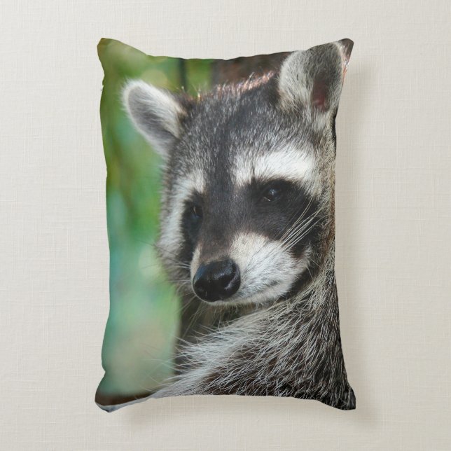 Raccoon 001 dekokissen (Vorderseite(Vertikal))
