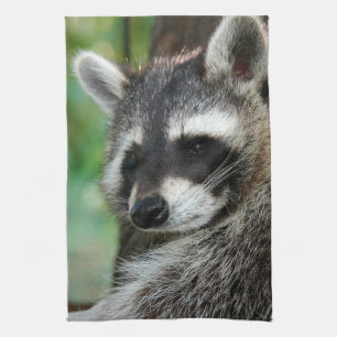 Raccoon 001 geschirrtuch