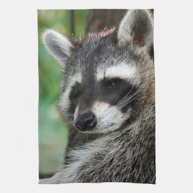 Raccoon 001 geschirrtuch (Vertikal)