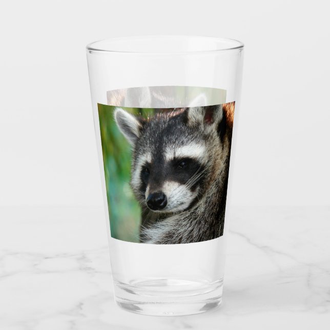 Raccoon 001 glas (Vorderseite)