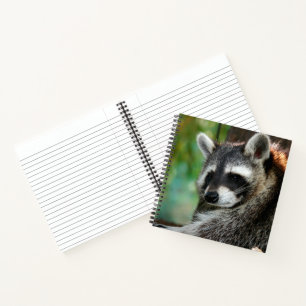Raccoon 001 notizbuch