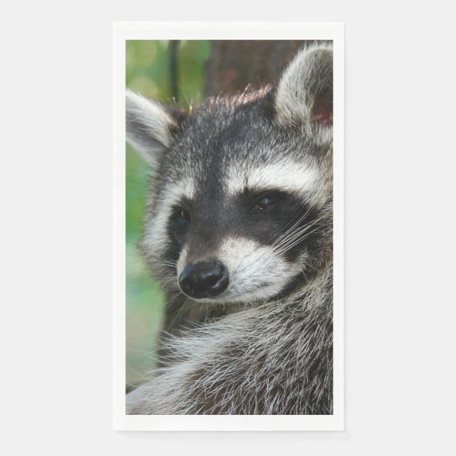 Raccoon 001 serviette (Vorderseite)